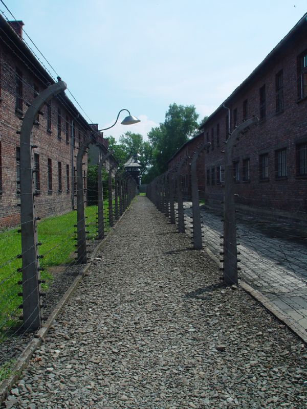 Auschwitz wired Pathway